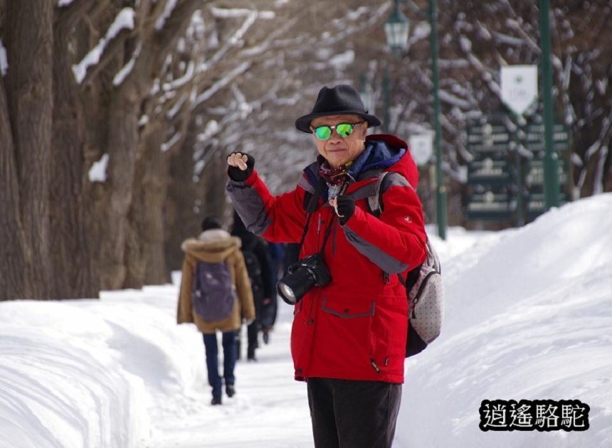 北海道大學三月天寫真-日本駱駝