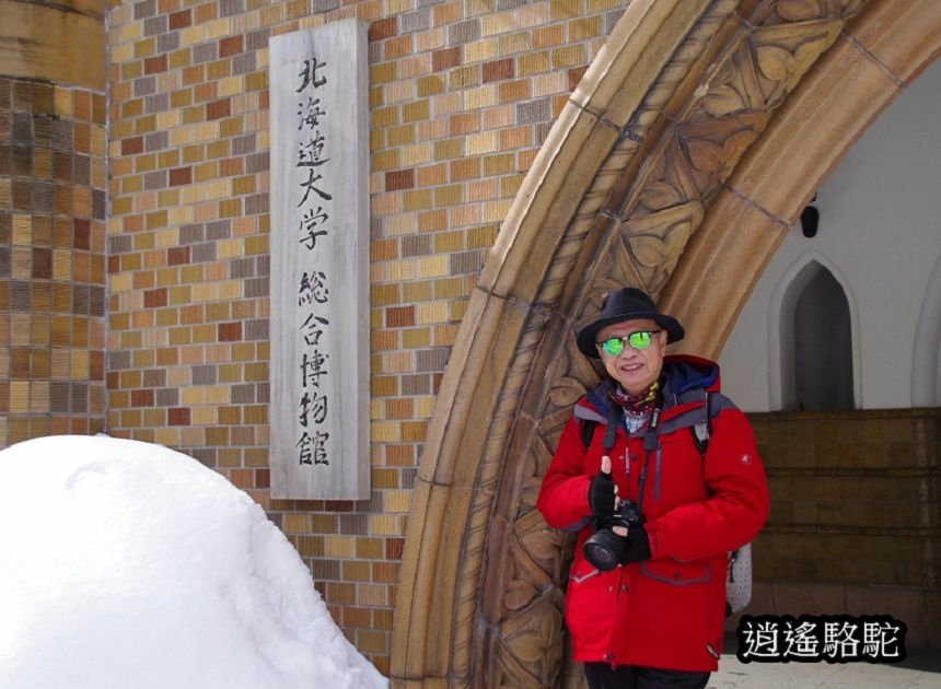 北海道大學三月天寫真-日本駱駝