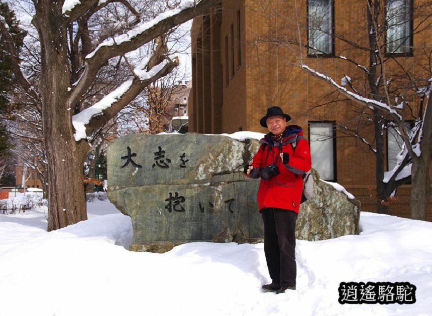 北海道大學三月天寫真-日本駱駝