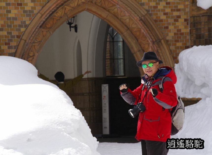 北海道大學三月天寫真-日本駱駝