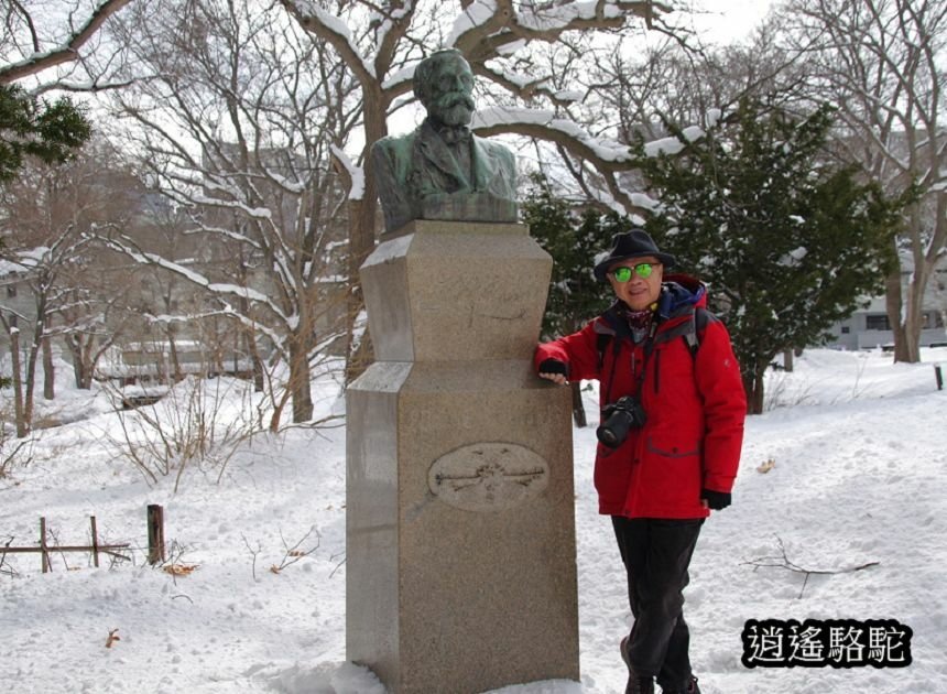 北海道大學三月天寫真-日本駱駝