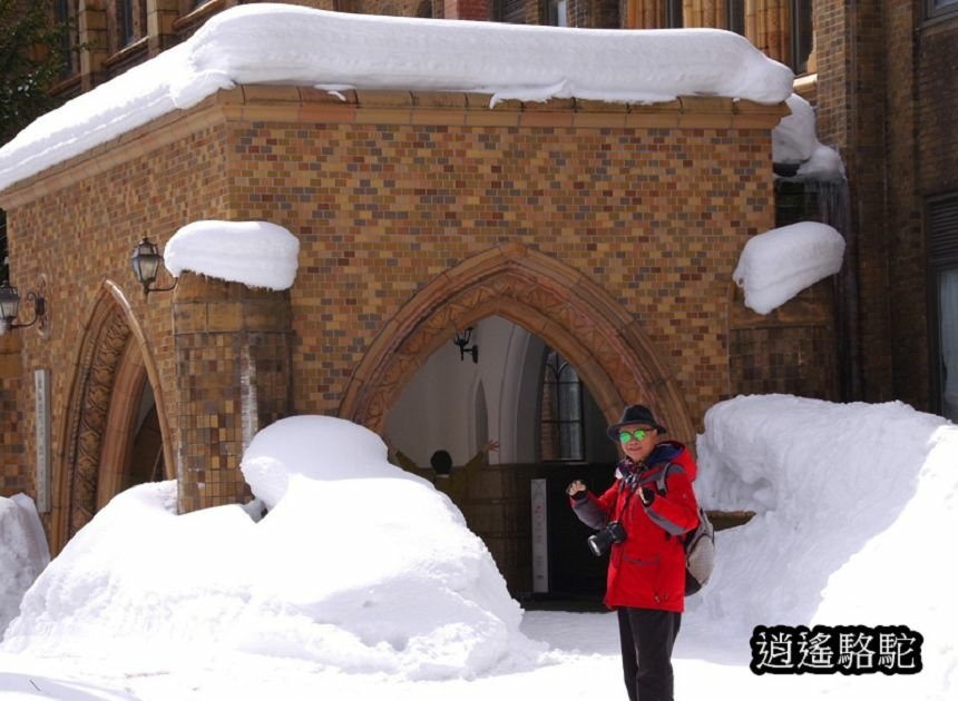 北海道大學三月天寫真-日本駱駝