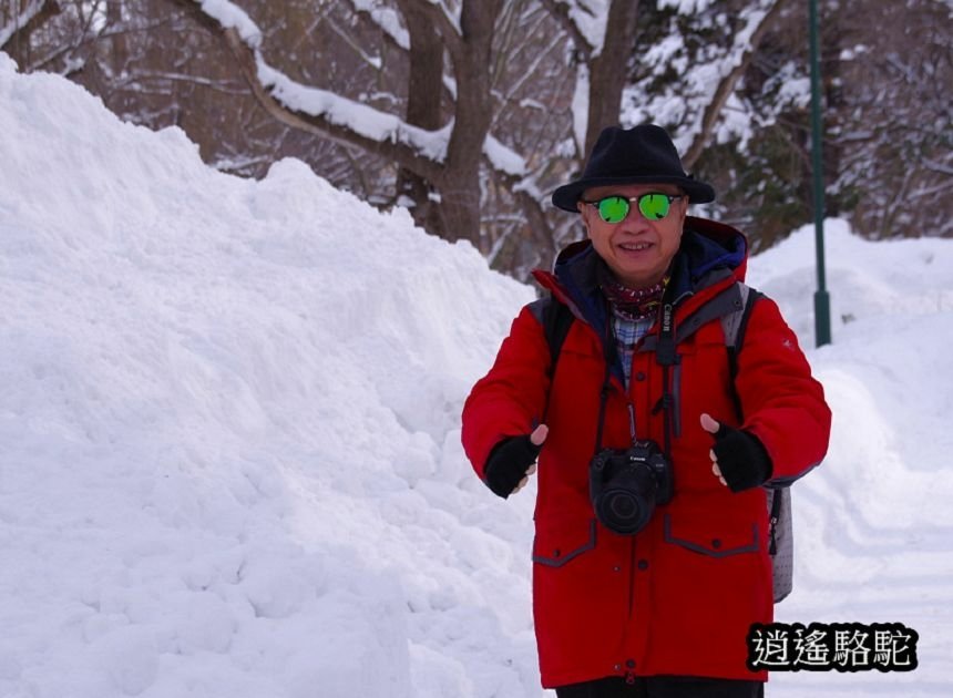 北海道大學三月天寫真-日本駱駝