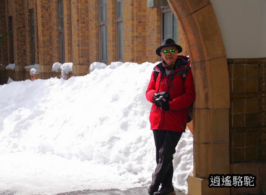 北海道大學三月天寫真-日本駱駝