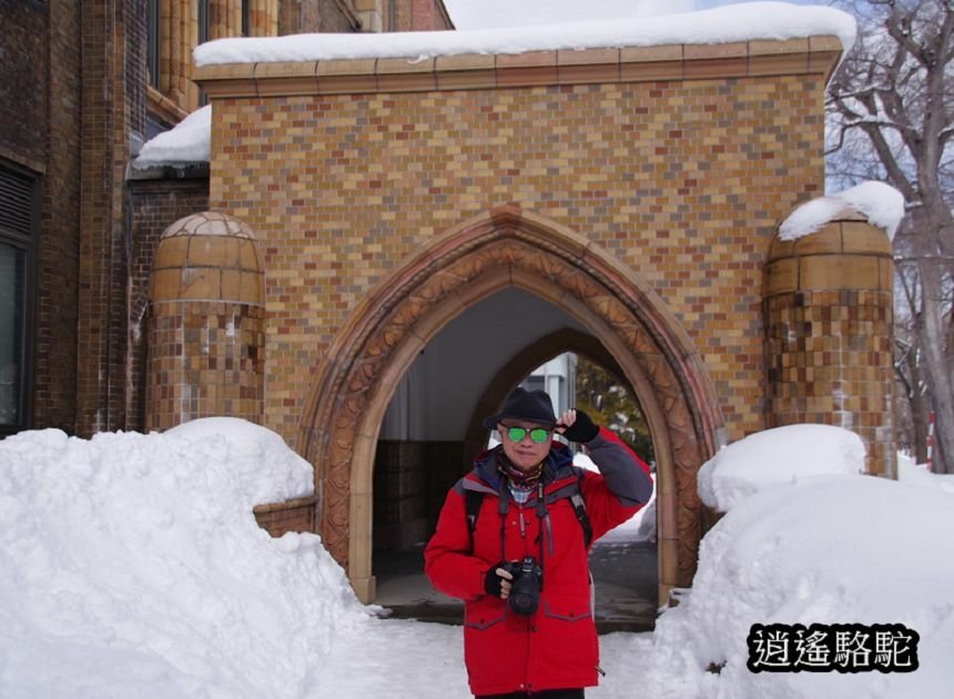 北海道大學三月天寫真-日本駱駝