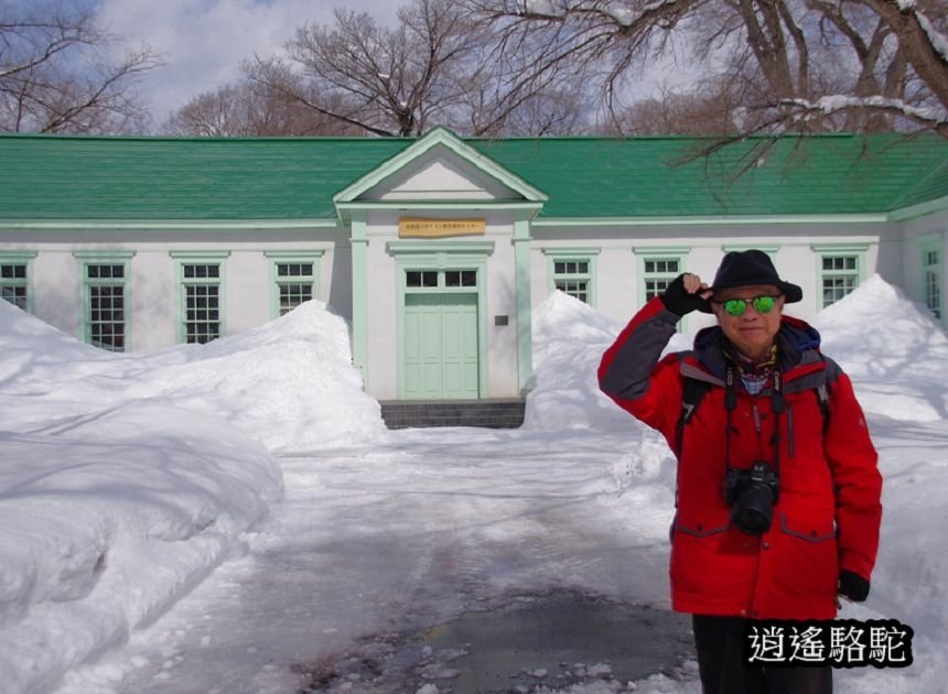 北海道大學三月天寫真-日本駱駝