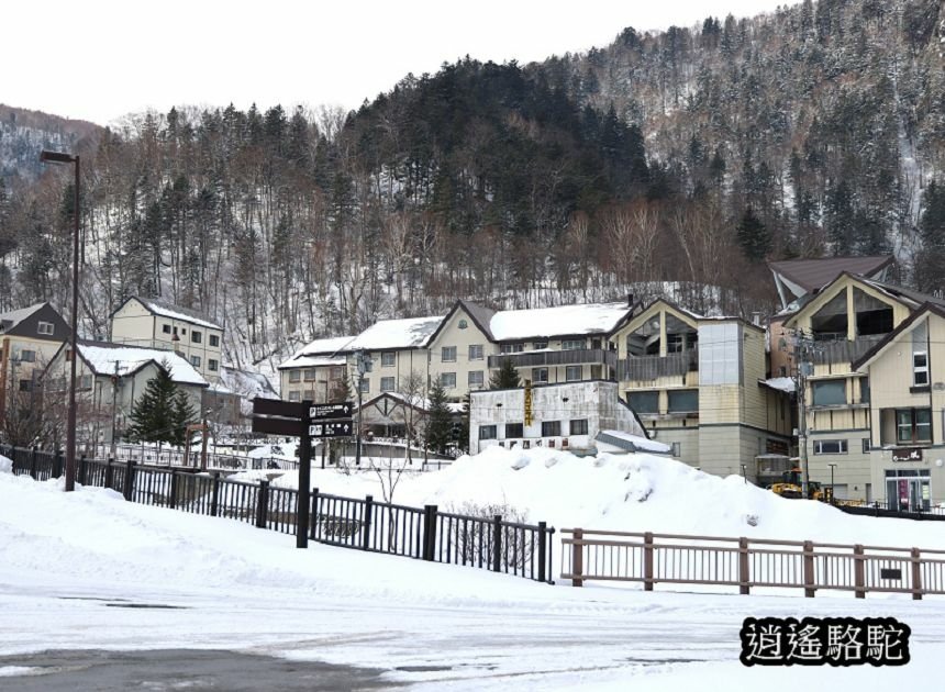 層雲峽巴士轉運中心-日本駱駝