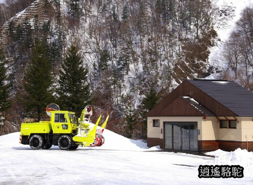 層雲峽巴士轉運中心-日本駱駝