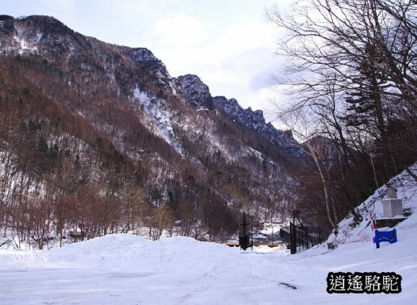 層雲峽巴士轉運中心-日本駱駝