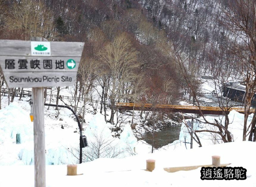 層雲峽巴士轉運中心-日本駱駝