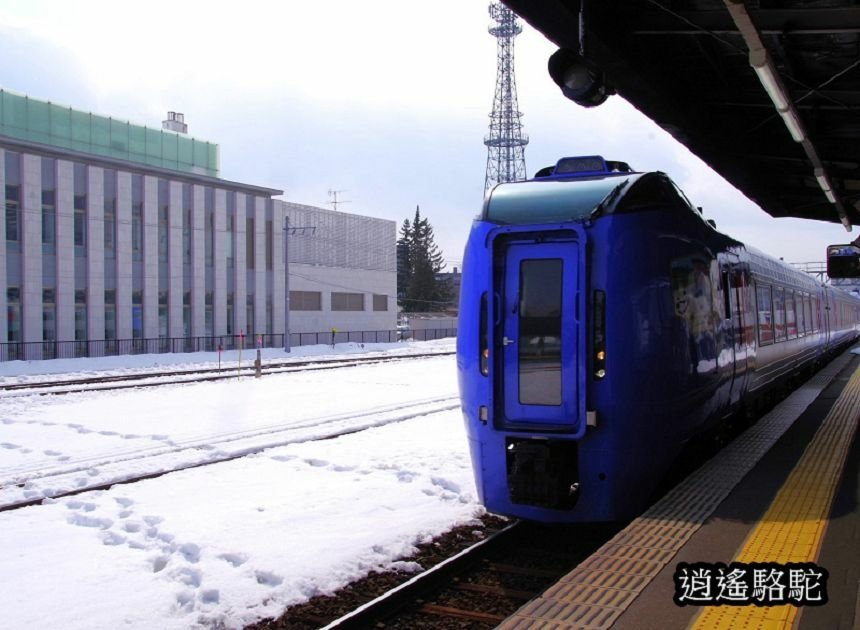 北見車站-日本駱駝