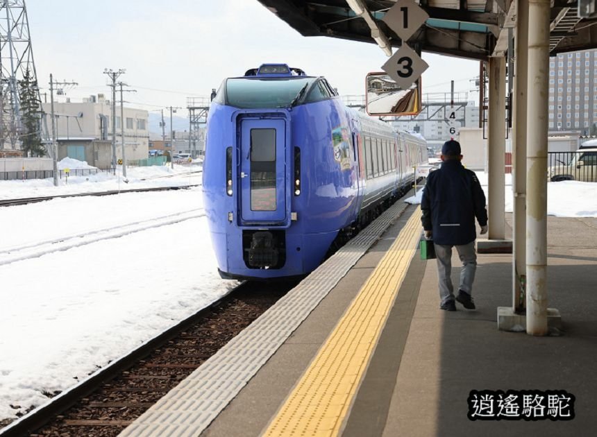 北見車站-日本駱駝