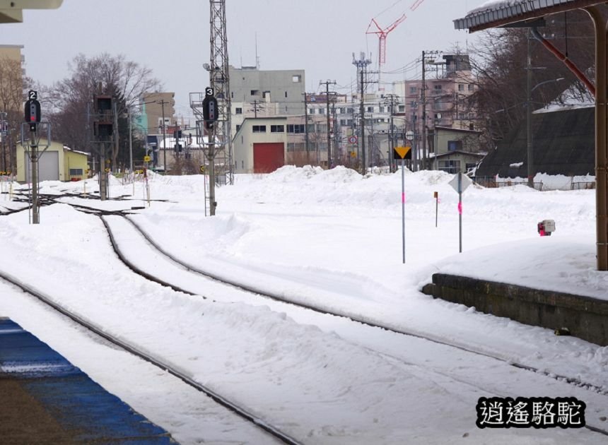 網走車站-日本駱駝