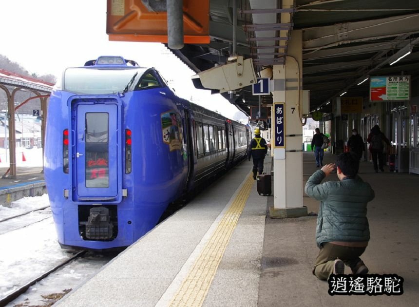 網走車站-日本駱駝