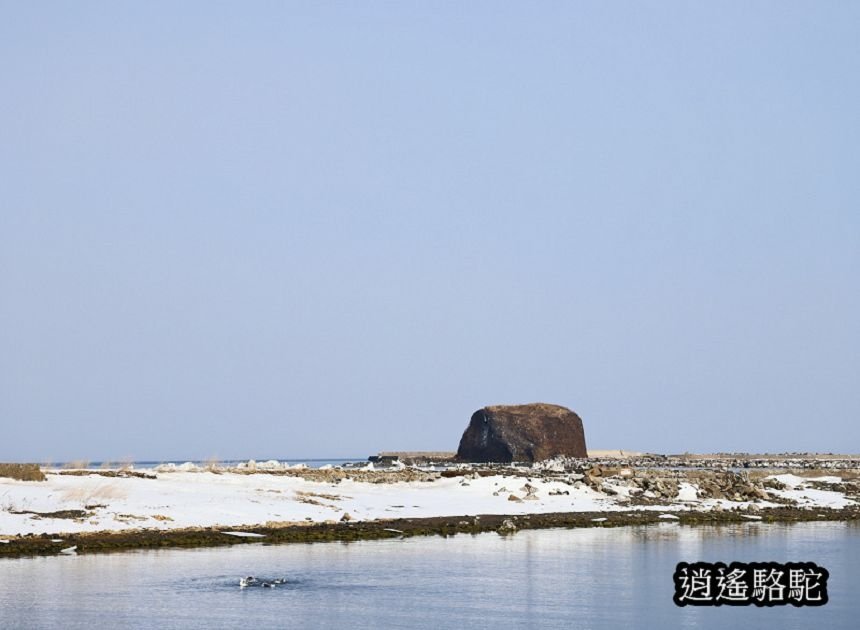 流冰街道網走道路休息站-日本駱駝