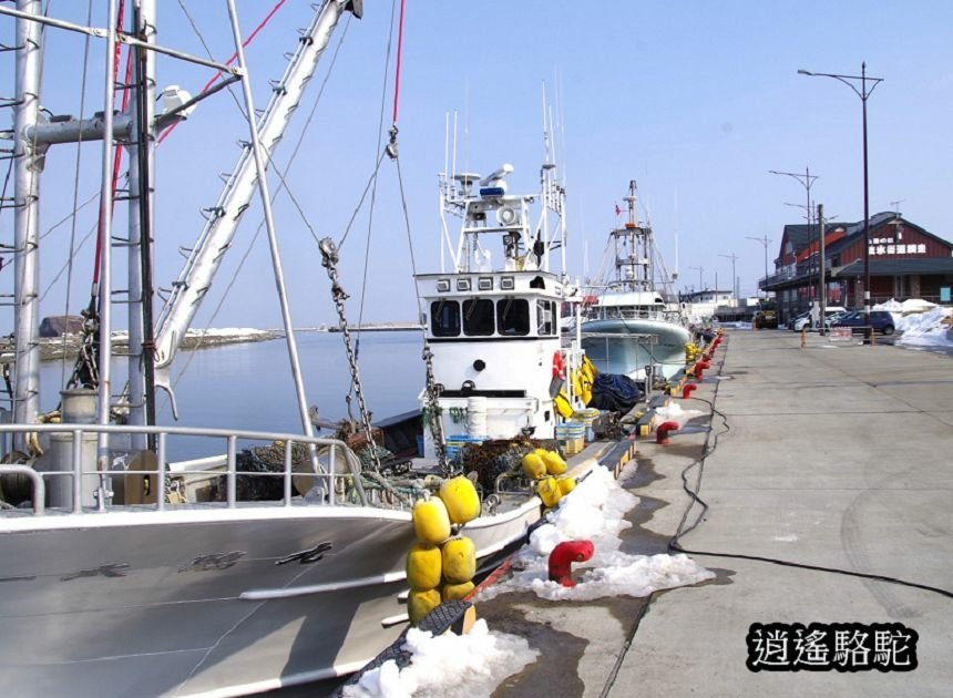 流冰街道網走道路休息站-日本駱駝