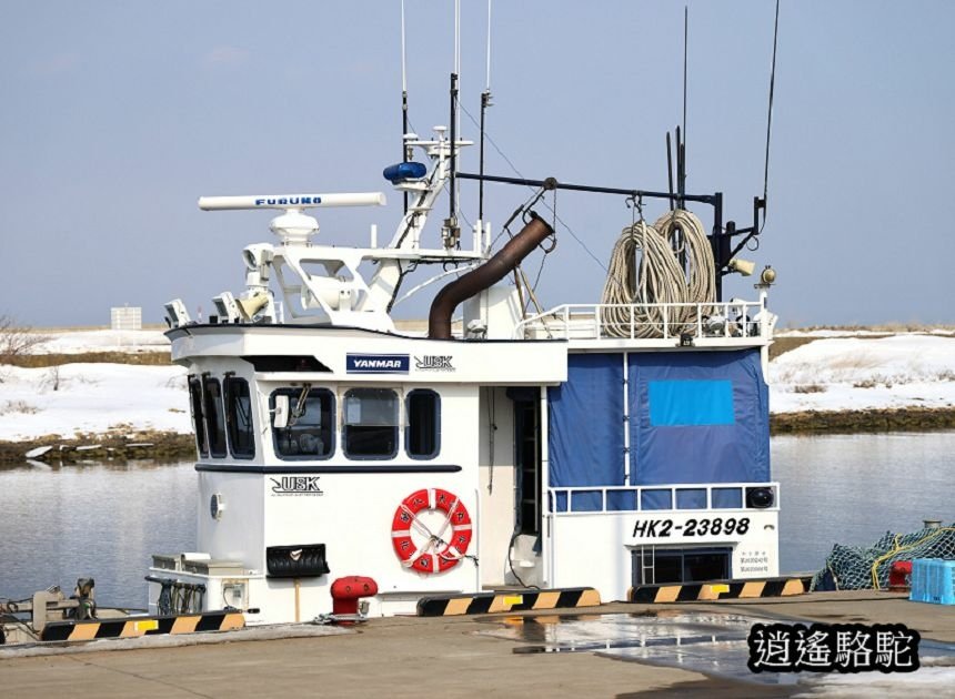 流冰街道網走道路休息站-日本駱駝