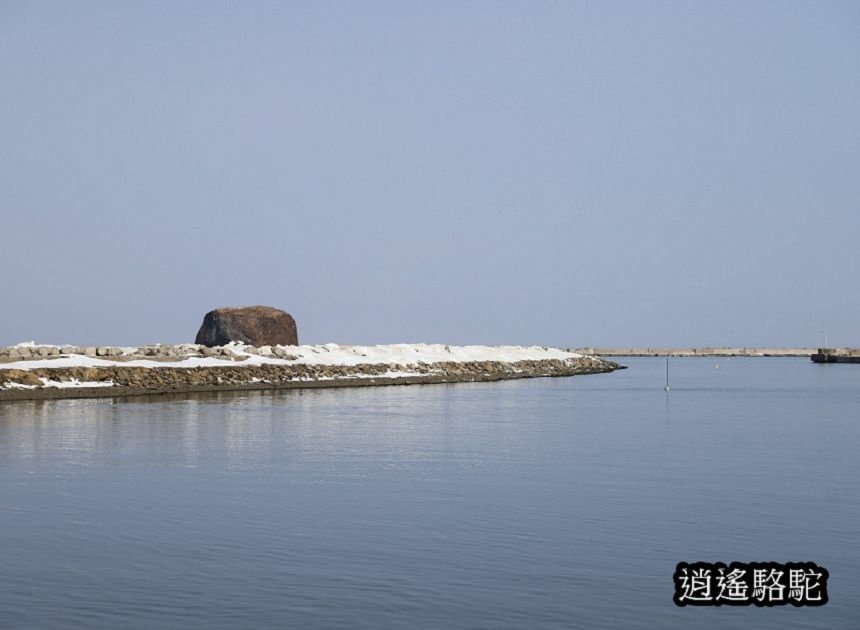 流冰街道網走道路休息站-日本駱駝