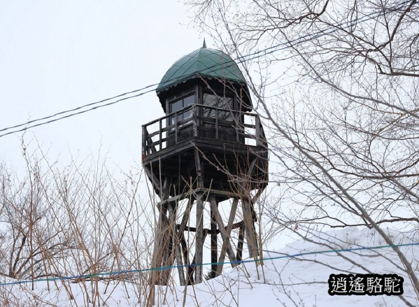 網走刑務所-日本駱駝