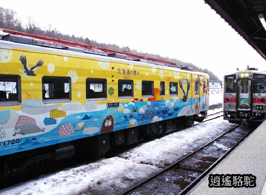 網走駅→知床斜里駅-日本駱駝