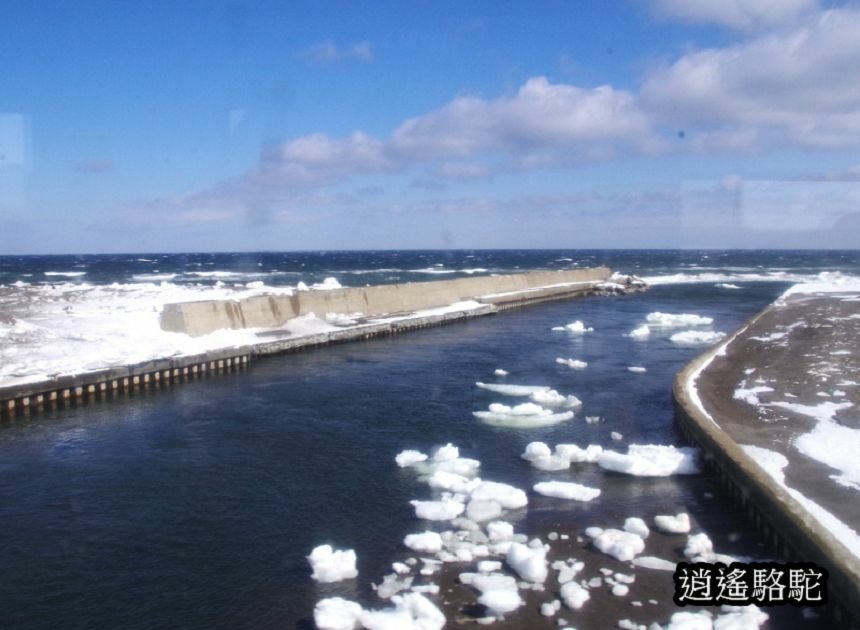 網走駅→知床斜里駅-日本駱駝