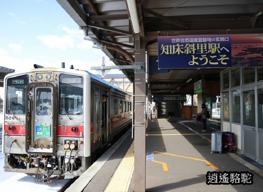 網走駅→知床斜里駅-日本駱駝