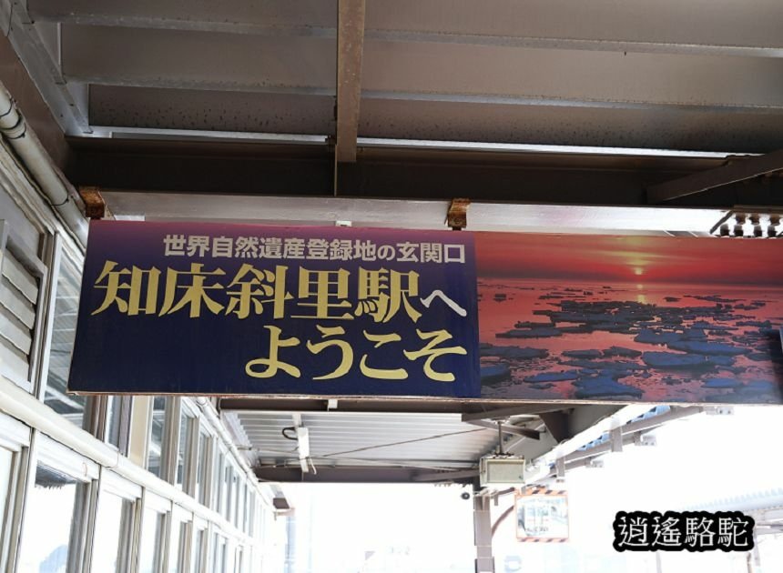 網走駅→知床斜里駅-日本駱駝