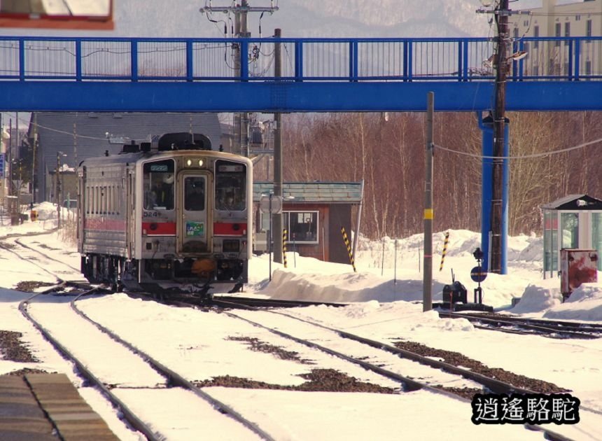 網走駅→知床斜里駅-日本駱駝