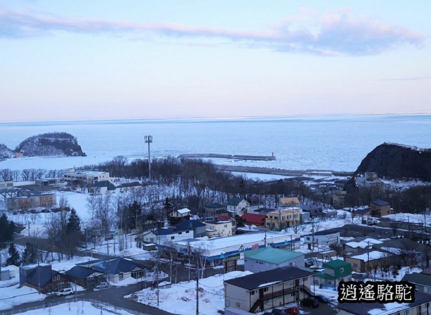 在MARUSUKOI早餐-日本駱駝