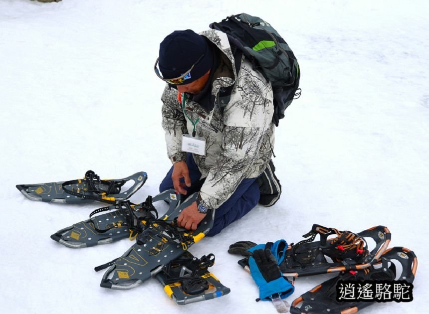 知床雪鞋漫步-日本駱駝