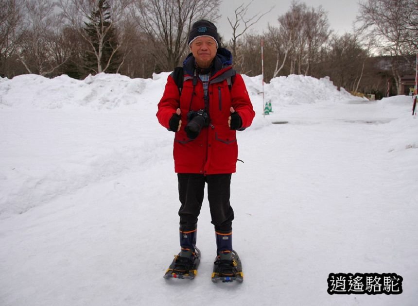 知床雪鞋漫步-日本駱駝