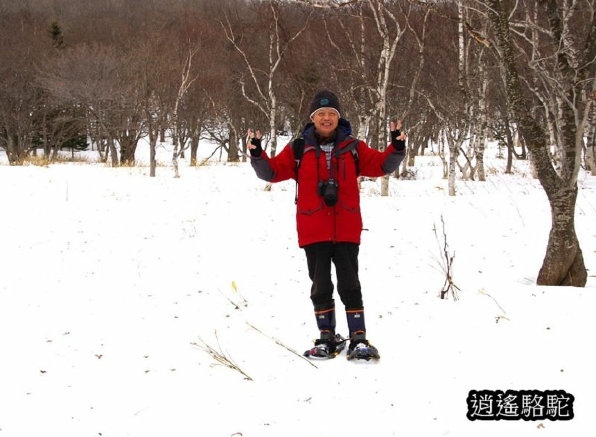 知床雪鞋漫步-日本駱駝