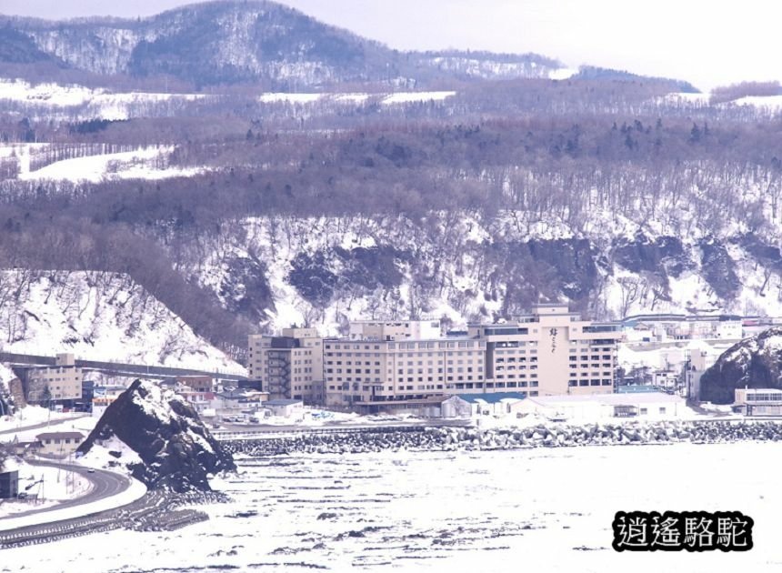 普尤尼海角(プユニ岬)-日本駱駝