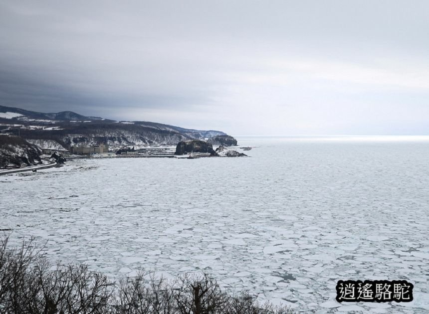 普尤尼海角(プユニ岬)-日本駱駝