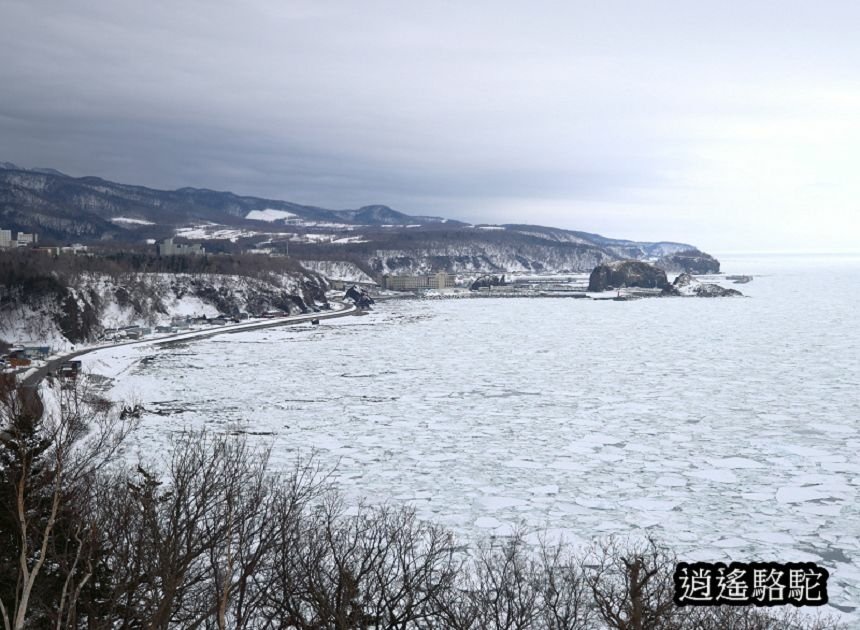 普尤尼海角(プユニ岬)-日本駱駝