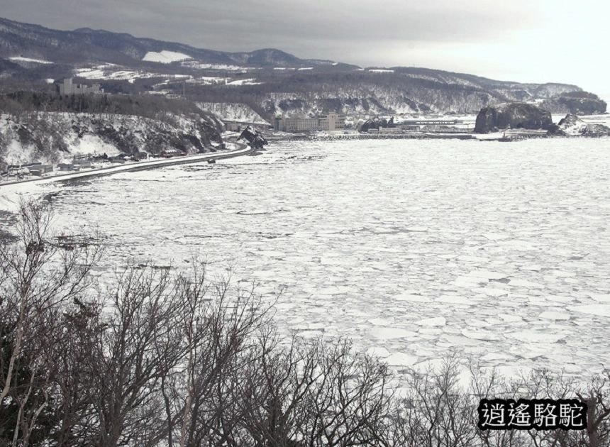 普尤尼海角(プユニ岬)-日本駱駝