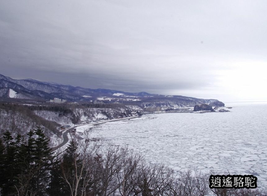 普尤尼海角(プユニ岬)-日本駱駝