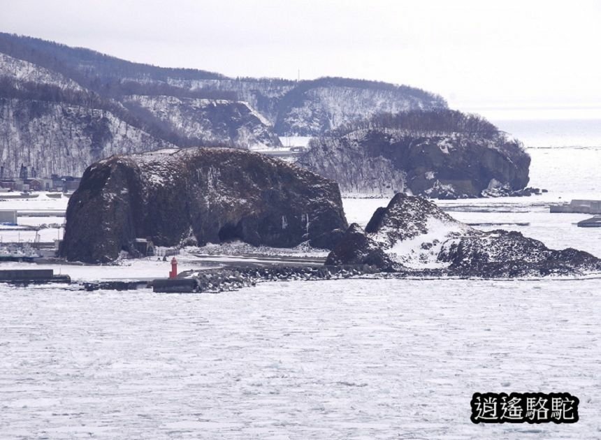 普尤尼海角(プユニ岬)-日本駱駝