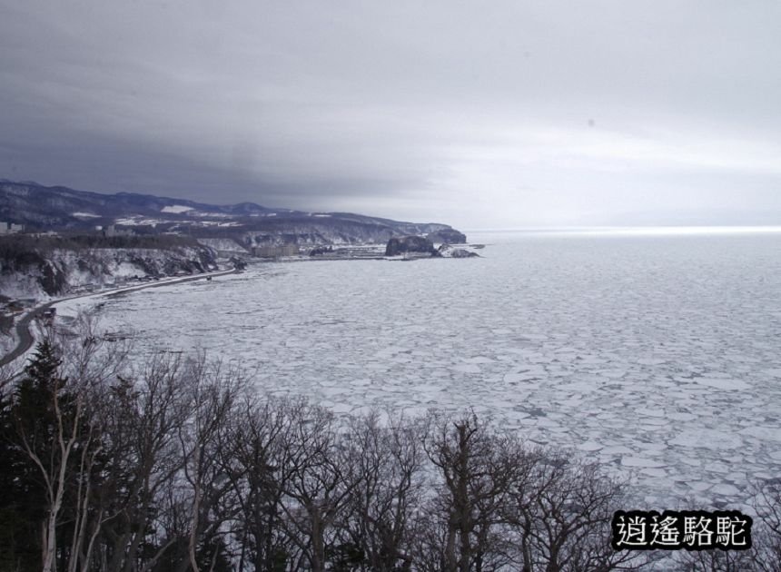 普尤尼海角(プユニ岬)-日本駱駝