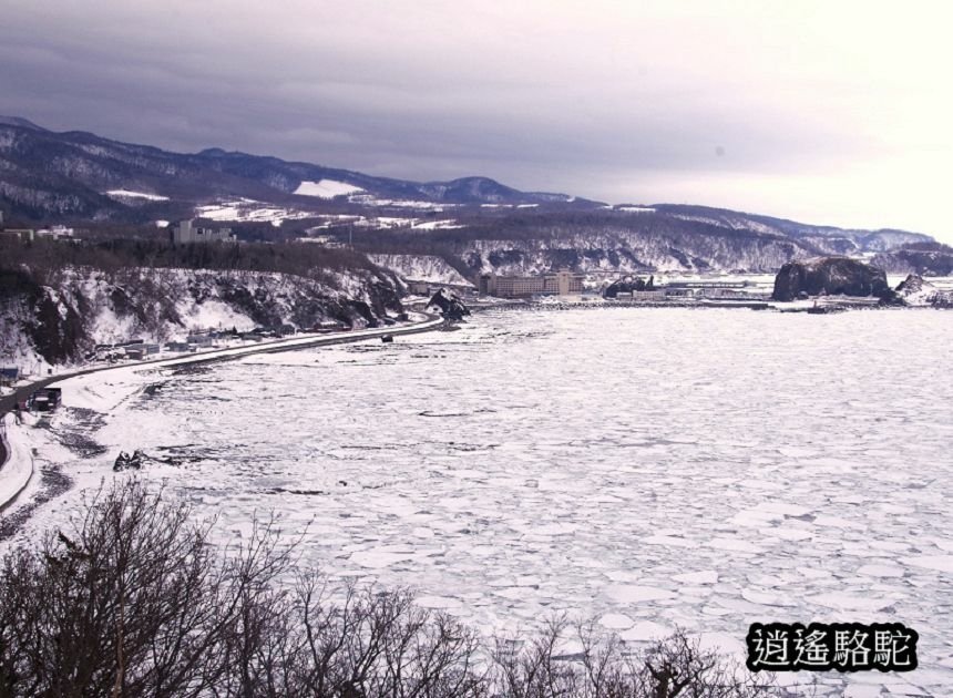 普尤尼海角(プユニ岬)-日本駱駝