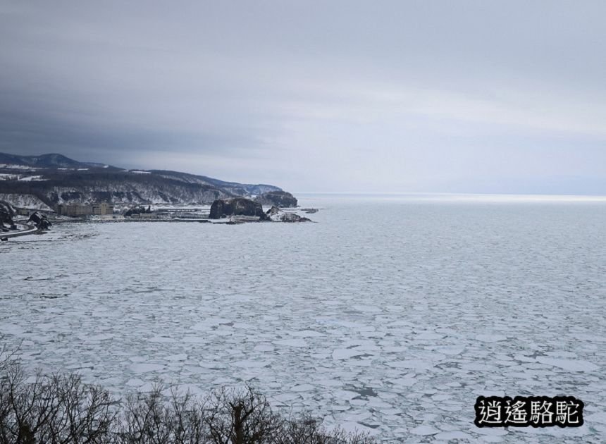 普尤尼海角(プユニ岬)-日本駱駝