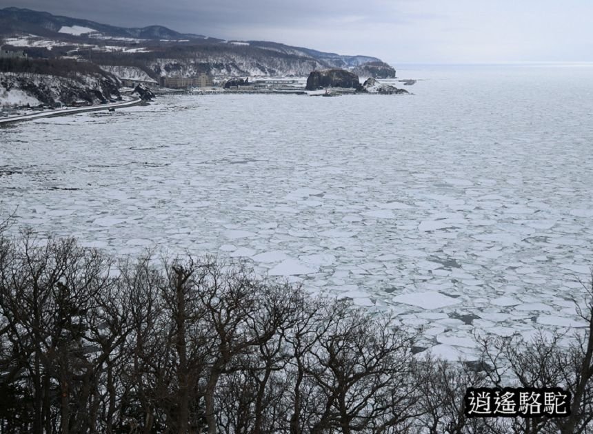 普尤尼海角(プユニ岬)-日本駱駝