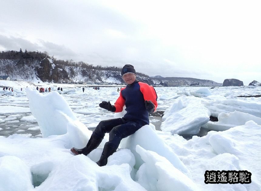 流冰漫步寫真-日本駱駝