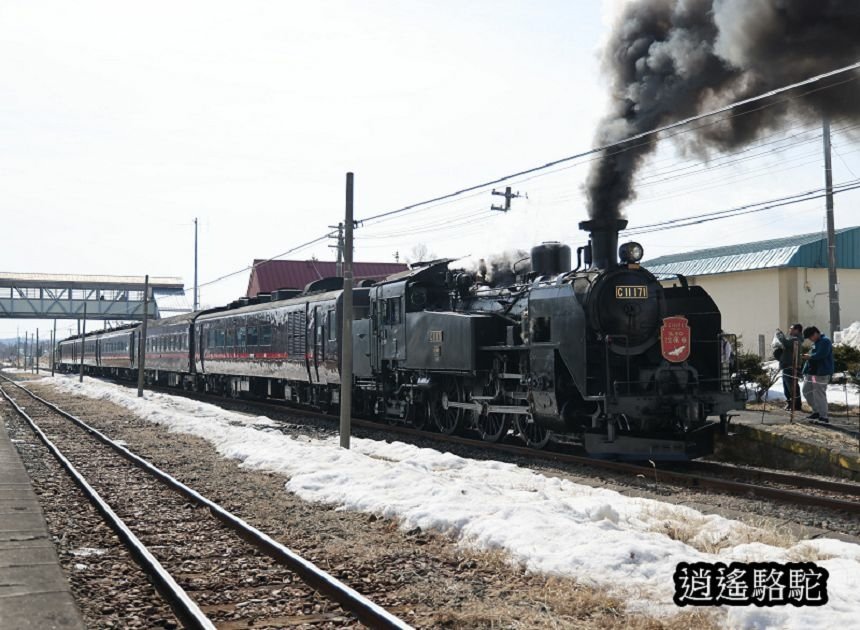 北海道道東12天自由行-日本駱駝