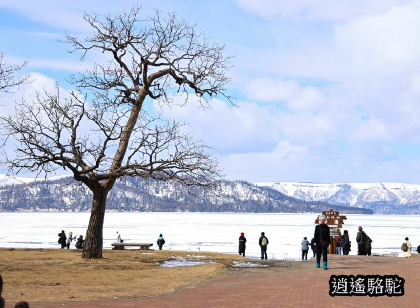 屈斜路湖砂湯-日本駱駝