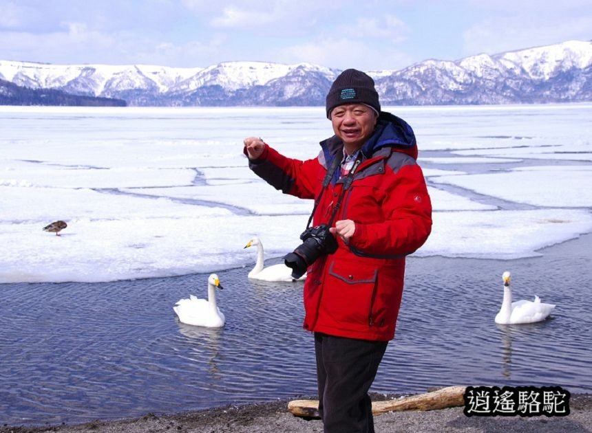 屈斜路湖砂湯-日本駱駝