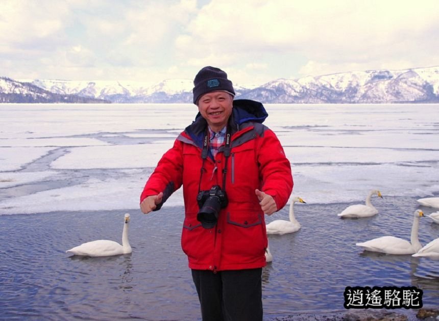 屈斜路湖砂湯-日本駱駝