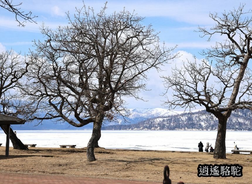 屈斜路湖砂湯-日本駱駝