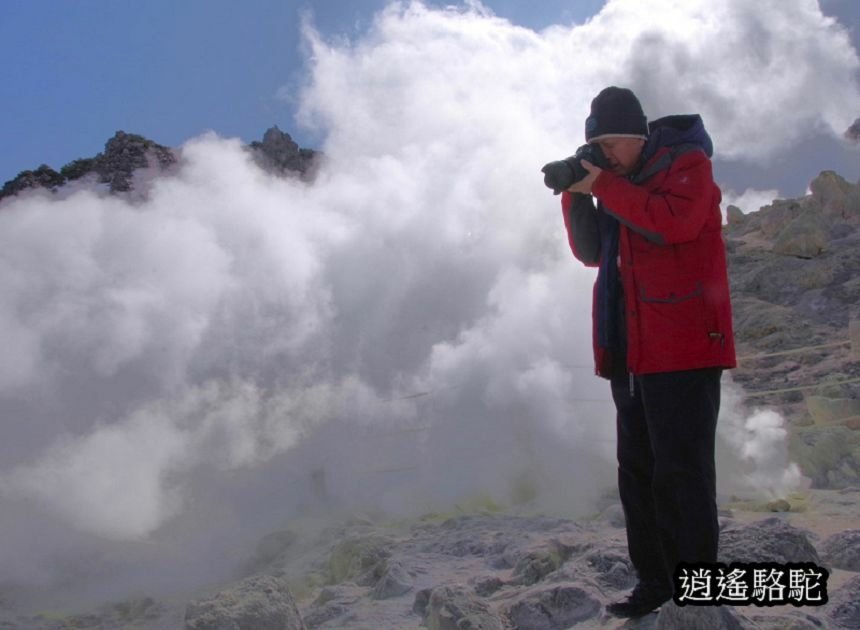 硫黃山-日本駱駝