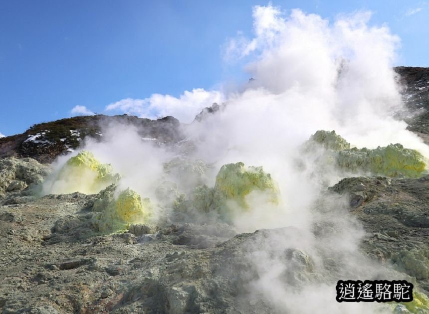 硫黃山-日本駱駝